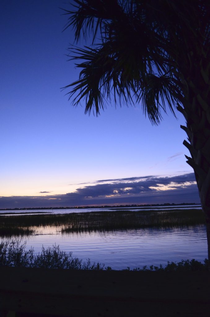 Vertical-Marsh-with-palm-tree-678x1024